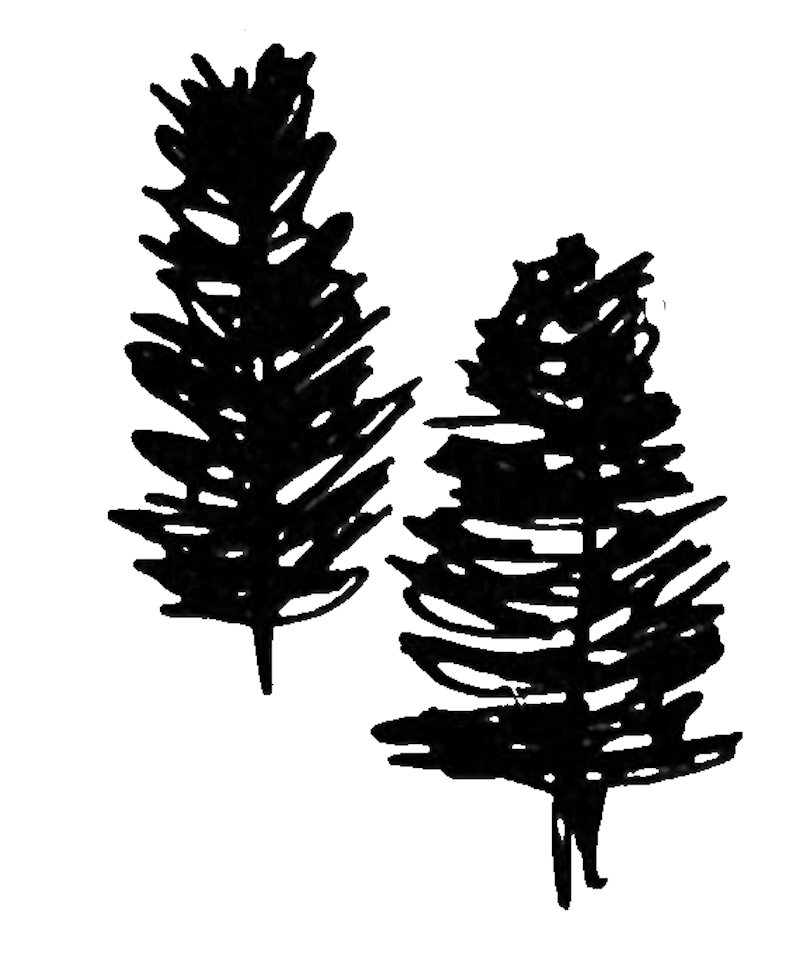 ZOEBTAPAL